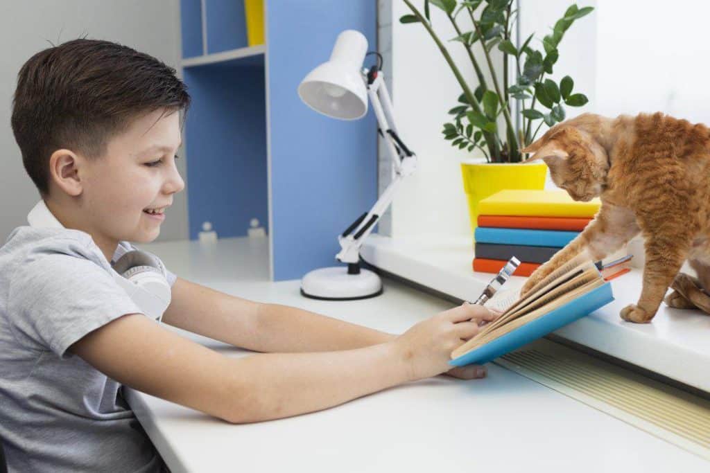 benefits of homeschooling for kids